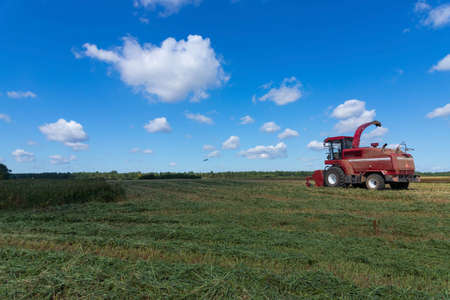 Red harvester in a rural field. Grain harvesting concept on a sunny summer day, side view.