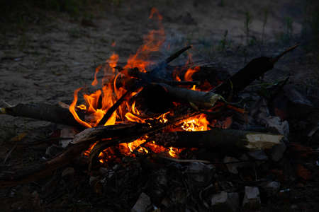Bonfire, fire, smoke on a background of nature.の写真素材