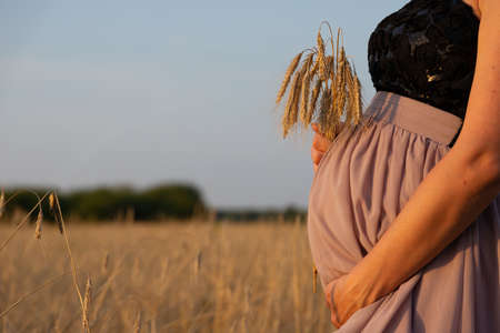 A pregnant woman in a beautiful dress with a bundle of wheat in her hands against the background of a field with ripening wheat. The concept of motherhood and fertility.の写真素材