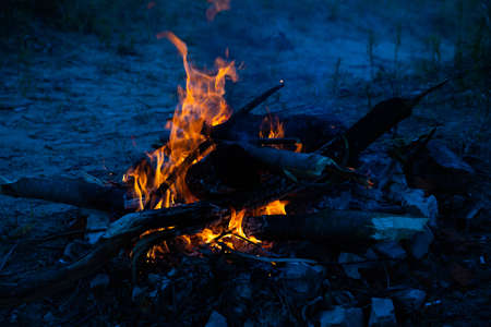 Burning fire with wood. Cooking and heating concept.