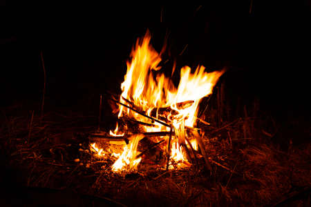 Burning fire with wood. Cooking and heating concept.