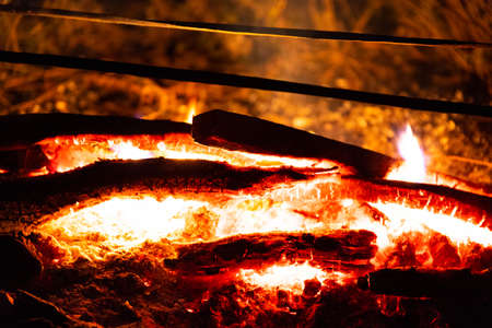 Burning fire with wood. Cooking and heating concept.