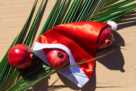 Hat of Santa Claus on the background of a palm leaf, with pomegranate fruits on the sandy beach of the Red Sea. Tropical Christmas card.の写真素材