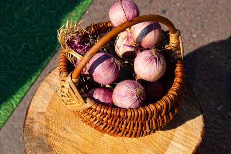 Large onion harvest in a wicker basket. Bulb onion is rich in vitamins, useful spring. Onion peel on a wooden background. Large onions can be seen from above.の写真素材