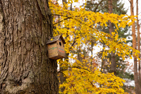 starling house on tree in autumn parkの写真素材