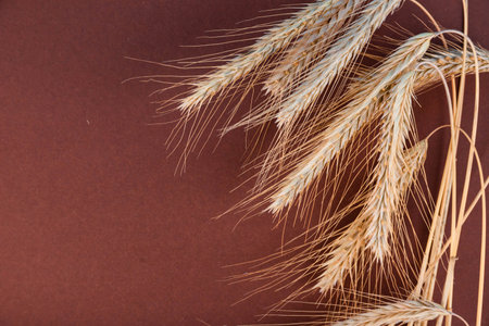 Wheat ears on old, brown, wooden background with copyspaceの写真素材