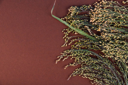 Dry spikelets of millet on brown background with copy spaceの写真素材