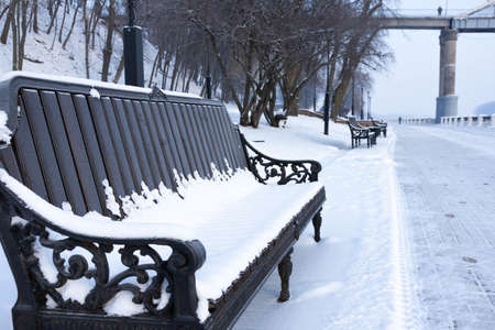 Beautiful benches in a park covered with snow.