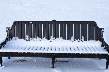 Beautiful benches in a park covered with snow.の写真素材
