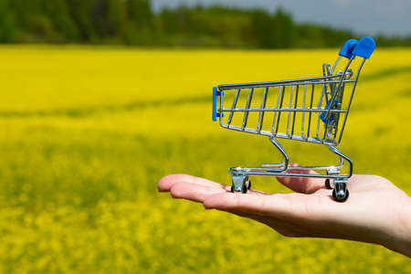 A shopper's trolley, a shopping basket, stands in the palm of the hand against the backdrop of a bright blooming rapeseed field. Copy space.の写真素材