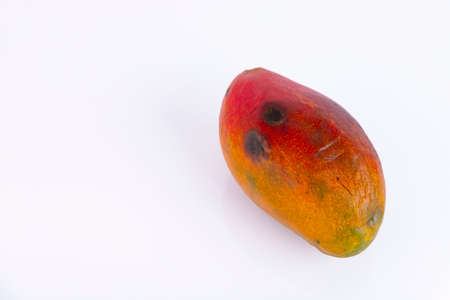 Red Mango Fruit, Naturally Sustainable Pure Grown Product, ECO, from Thai. Copy space.