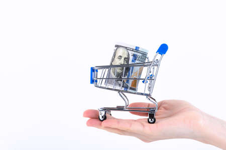 hand holding a cart full of money. Copy space.の写真素材