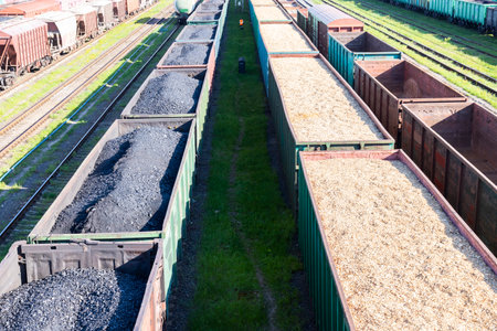 Coal cars, wood chips and sawdust on the train. Global warming. Energy production.