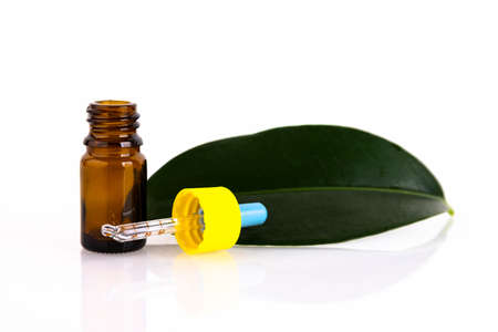 Blank amber glass essential oil bottle with pipette on green leaves background Copy spaceの写真素材