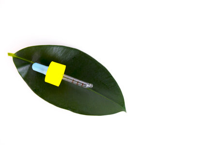 Blank amber glass essential oil bottle with pipette on green leaves background Copy spaceの写真素材