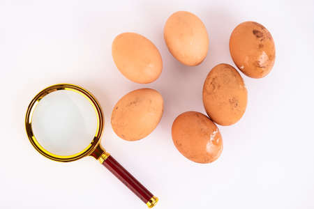 Beige, wild chicken eggs and a magnifying glass on a white background. Selective focus. Copy space.