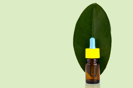 Blank amber glass essential oil bottle with pipette on green leaves background Copy spaceの写真素材