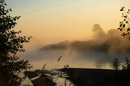 Foggy morning on a European river with fresh green grass in the sun. The rays of the sun through the tree.の写真素材