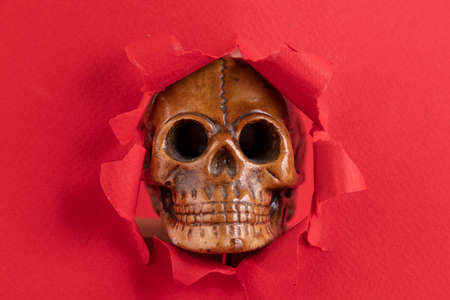 A copy of the Human Skull peeks out from behind red scraps of paper. Red background. Copy space.の写真素材