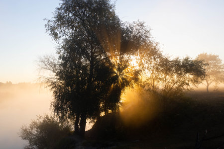 Foggy morning on a European river with fresh green grass in the sun. The rays of the sun through the tree.の写真素材