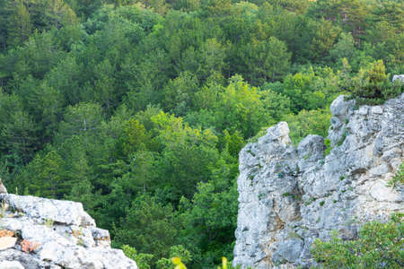 Gray wild rocks and wild green forest. View from above. Landscape.