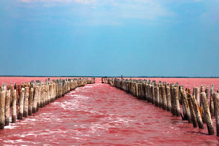Exotic pink salt lake and blue sky with clouds. High quality photo