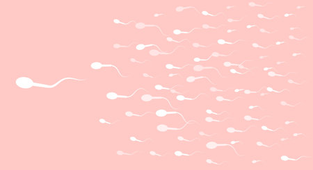 The spermatozoon has shot forward and is heading straight towards the target, pink background. Vector illustrationのイラスト素材