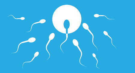 The sperm rushes forward and goes straight to the target, to the egg for ovulation, against a blue background. Vector illustrationのイラスト素材