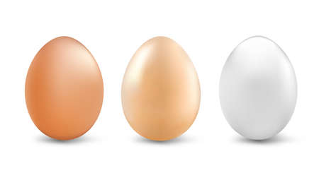 Natural white and brown eggs for Easter, a set of three multi-colored eggs isolated on a white background. Pattern for decoration. copyspace. vector illustrationのイラスト素材