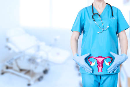gynecologist and a model of the reproductive system of a woman, the uterus, at the level of the pelvic bones of a woman, on a blurred background of a gynecological chair in the office. high quality photoの写真素材