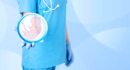 Embryo icon in the hands of a gynecologist doctor as a symbol of conception and in vitro fertilization. Blue medical background. Poster. high quality photoの写真素材