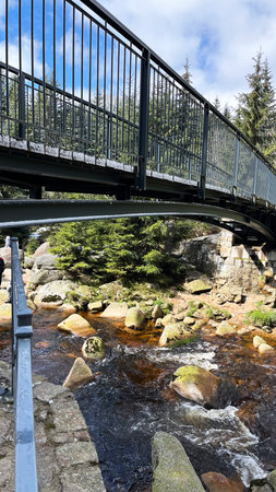 Mountain river border of Poland and the Czech Republic, flowing water in the Polish Sudeten...