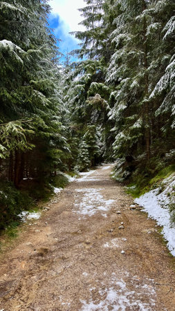 Winter mountains against the background of clouds. Polish Sudeten Mountains. Sceneryの写真素材
