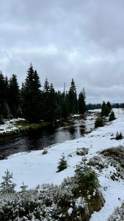 Mountain stream in spring, flowing water in the Polish Sudeten Mountains