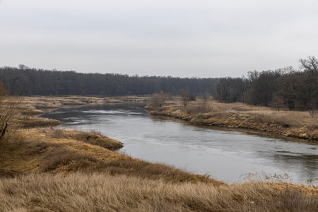 Spring landscape on the Oder river in Poland. Natural landscapeの写真素材