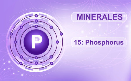 P, Phosphorus, element 15 of the periodic table of elements. Abstract purple background. Information poster.の写真素材