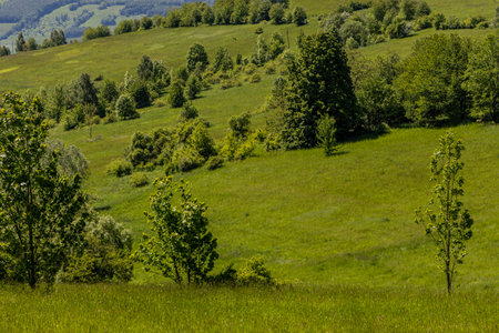 Mountain landscape. Eastern Sudetes Mountains on the border of Poland and the Czech Republicの写真素材