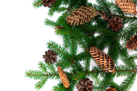 New year and Christmas background on a white background with fir branches, cones and Christmas paraphernaliaの写真素材