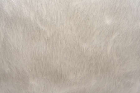 Fur. Artificial fur. Background of a piece of fur in light gray color close-up. White Fur Texture Backgroundの写真素材