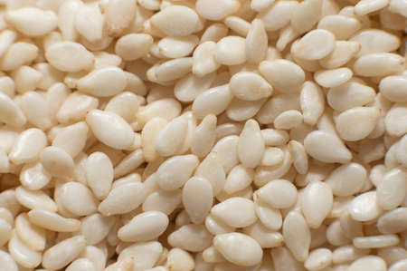Sesame. Background from sesame seeds close up. Seedsの写真素材