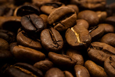 Coffee grains of different varieties close-up. Coffeeの写真素材