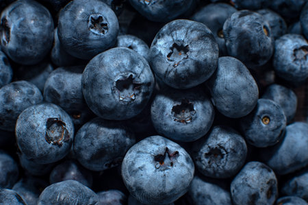 Blueberry. Background of blueberries in a round plan. Fruitの写真素材