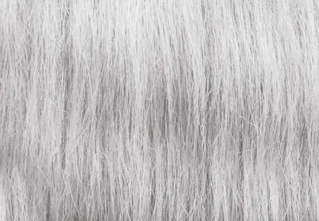 Gray-white synthetic fiber background. Texture, fiber or hair patternの写真素材