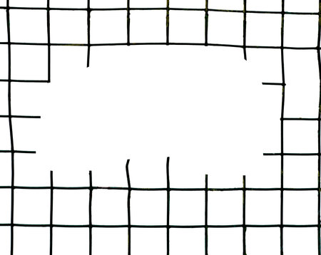 The texture of the metal mesh on a white background. Torn steel, metal mesh with holesの写真素材