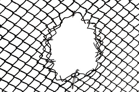 The texture of the metal mesh. Torn, destroyed, broken metal mesh on a white backgroundの写真素材