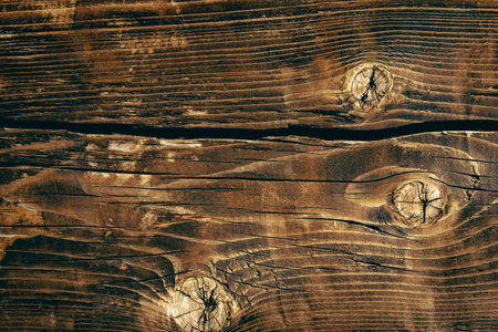 wood texture close up. Natural wood background with knotsの写真素材