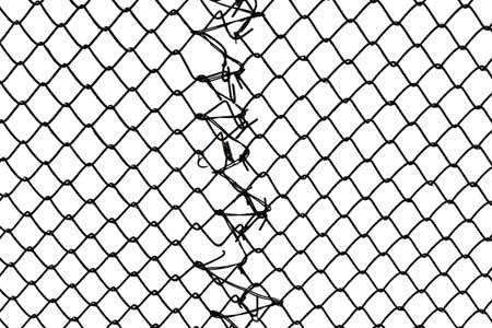 The texture of the metal mesh on a white background. Torn steel, metal mesh with holesの写真素材