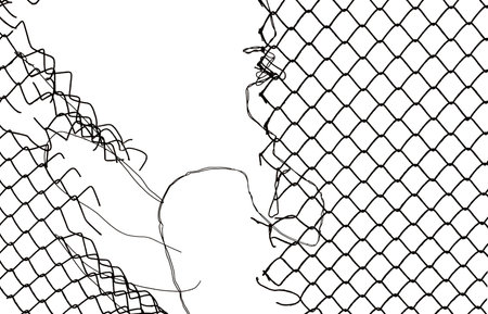 The texture of the metal mesh. Torn, destroyed, broken metal mesh on a white backgroundの写真素材