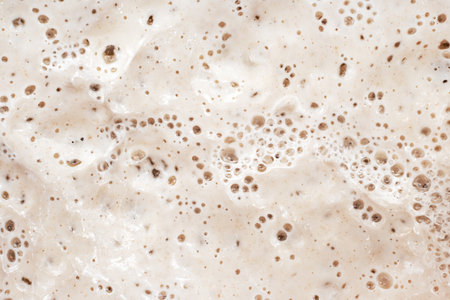Texture of fermented dough or sourdough with bubbles. Bakery Doughの写真素材