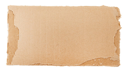 Piece of torn cardboard on a white background. Torn cardboard isolateの写真素材